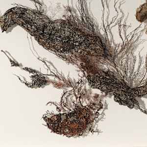 In A Barkly Manner by Fisher Carla, Image 4.