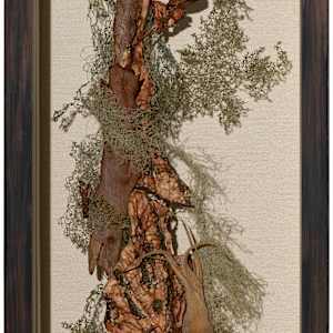 Spanish Podcast by Fisher Carla 