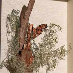 Spanish Podcast by Fisher Carla  Image: upper detail -- floating