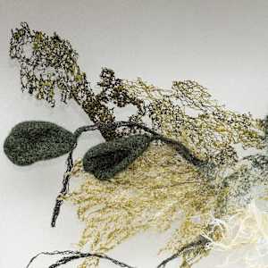 Take A Bough by Fisher Carla, Image 2.