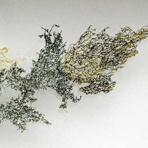 Take A Bough by Fisher Carla, Image 3.