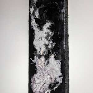 Cosmic Lint by Fisher Carla, Image 3.