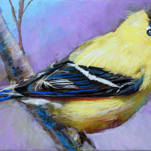 Alluring Goldfinch by Pat Cross