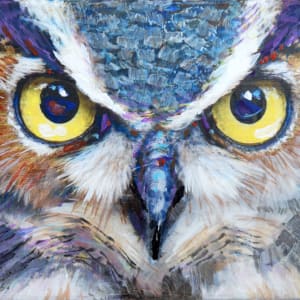 Night Owl by Pat Cross