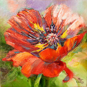 Scarlet Red Poppy by Pat Cross