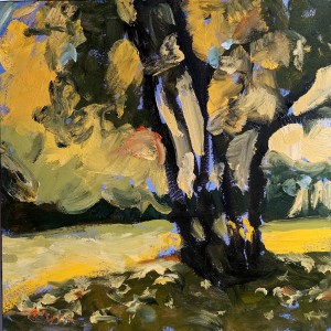 Canopy by Corinne Galla