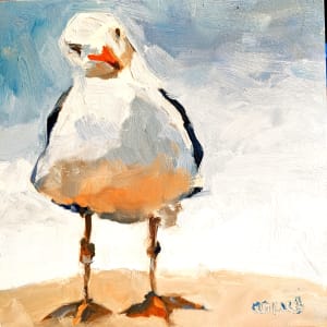 New Gull in Town II by Corinne Galla