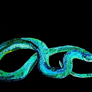 Jade Infinity: Lunar New Year 2025 by Poppyfish Studio: The Art of Natasha Monahan Papousek