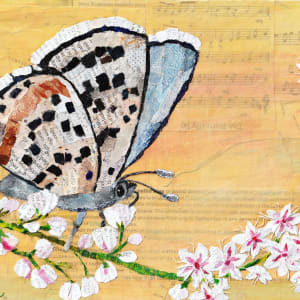 Bees, Butterflies and Beyond: Pallid Blue-Dotted Butterfly by Poppyfish Studio: The Art of Natasha Monahan Papousek