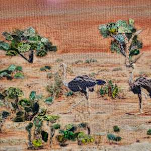 Namibian Traffic Jam by Poppyfish Studio: The Art of Natasha Monahan Papousek