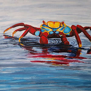 Red Reflection by Poppyfish Studio: The Art of Natasha Monahan Papousek