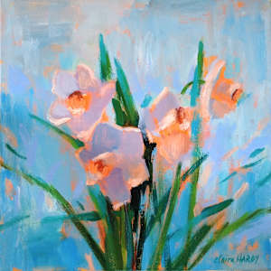 Coral Daffodils by CLAIRE HARDY