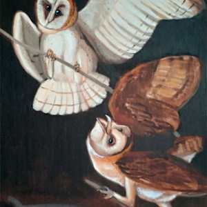 Barn Owls after Audubon by CLAIRE HARDY