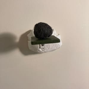 Green Shelf with Detachable Steel Wool Ball by MaryAnn Puls