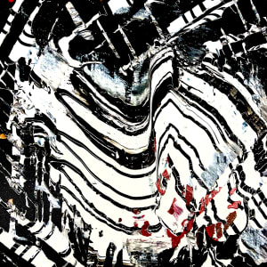 Abstract zebra collection 5 by Neal Barbosa
