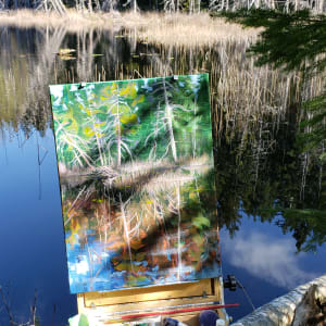 "First light - Snag / Dam" Trout Lake - Sunshine Coast B.C. by Jan Poynter 