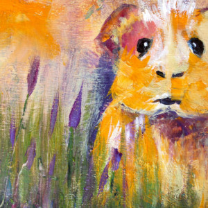 Guinea pig in the Grass by Bobbi Bjornholt