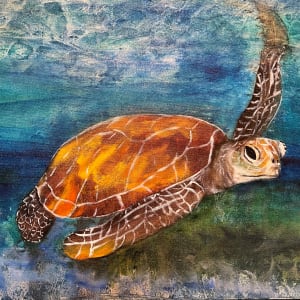 Turtle Love by Teresa Beyer