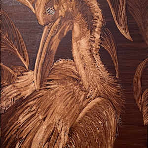 Pelican Pete by Teresa Beyer 