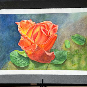 Angies Rose by Teresa Beyer  Image: Before crop