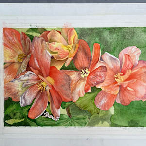 Begonia Bouquet by Teresa Beyer 