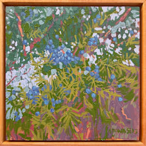 Cedar Berries by Krista Townsend, Image 1.