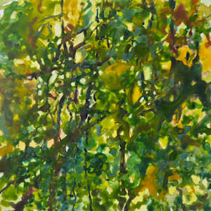 Camouflage (study) by Krista Townsend 