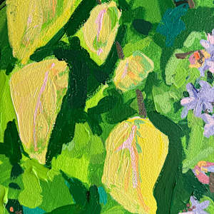 Soapwort by Krista Townsend 