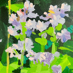 Soapwort by Krista Townsend 