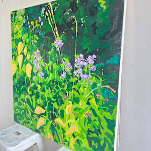 Soapwort by Krista Townsend 