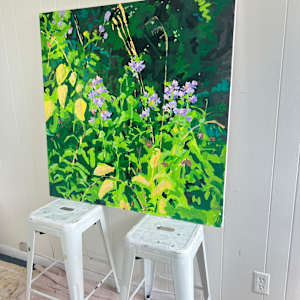 Soapwort by Krista Townsend 