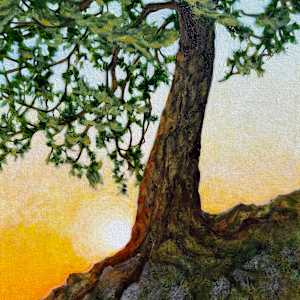 Rooted in Hope by Melissa Jean