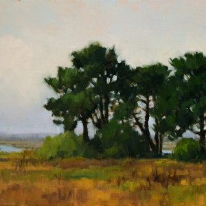 Arcata Marsh Pines by Kathy O'Leary