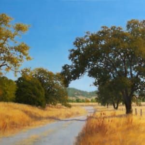 California Back Road by Kathy O'Leary