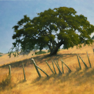 Old Ranch Fence and Oaks by Kathy O'Leary