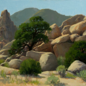 Rock Garden-Joshua Tree by Kathy O'Leary