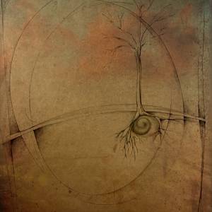 Autumn Light by Carol L Myers