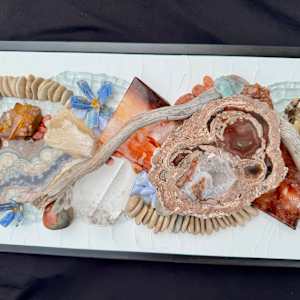 Desert Splendor by Donna Hoyack 