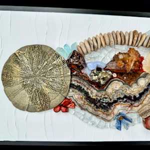 Desert Splendor by Donna Hoyack 