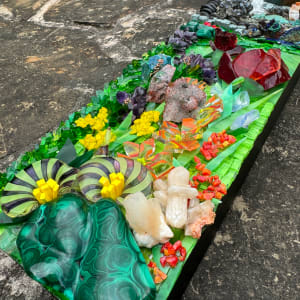 Life in the Son by Donna Hoyack 