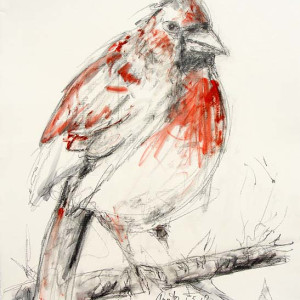 Cardinal by Frank Argento