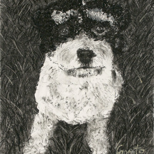 Cookie by Frank Argento