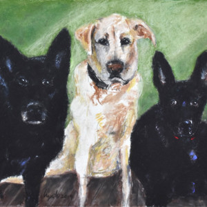 Diesel, Gunner & Harley by Frank Argento