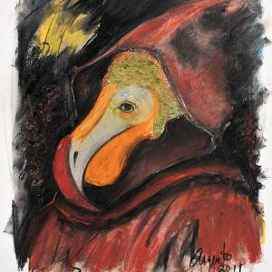 Dodo Bird Mask by Frank Argento