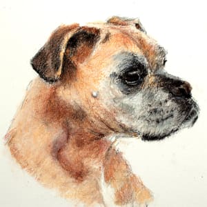 Higgins by Frank Argento