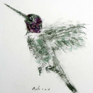 Hummingbird by Frank Argento