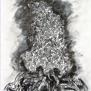 Lilac  Drawing by Frank Argento