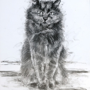 Mr. Cuddles by Frank Argento