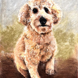 Tucker by Frank Argento