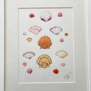 Pink Shells by Lia Burke Libaire